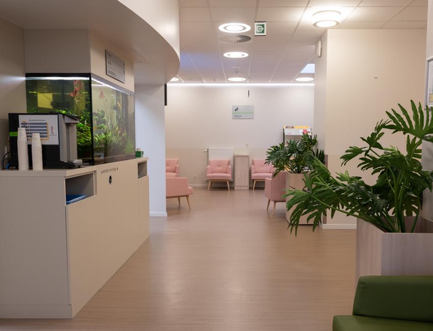Iridium netwerk Iridium netwerk